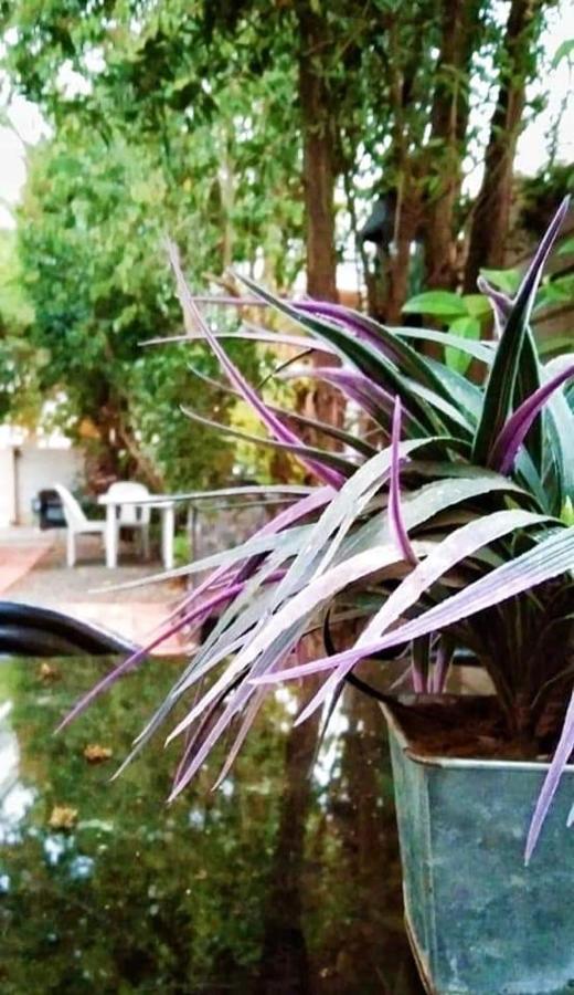Aandrus Guesthouse Bloemfontein Exteriér fotografie